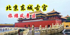大鸡巴插小骚逼中国北京-东城古宫旅游风景区